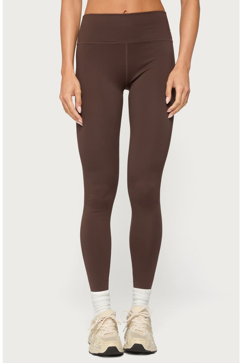 Faery High Waist Leggings, Main, color, BROWN
