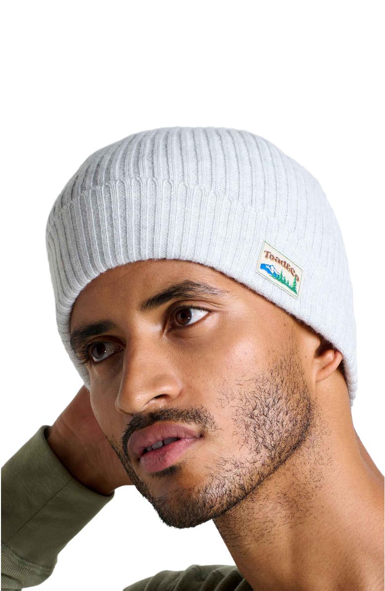 Toad & Co Cazadero Beanie, Alternate, color, Oatmeal