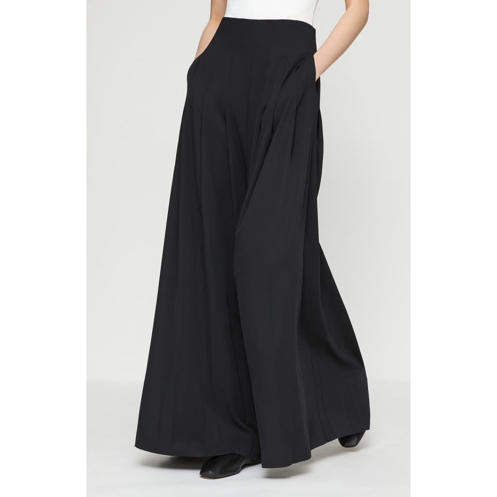 Lafayette 148 New York Leland Pleated Georgette Wide Leg Pants In Black