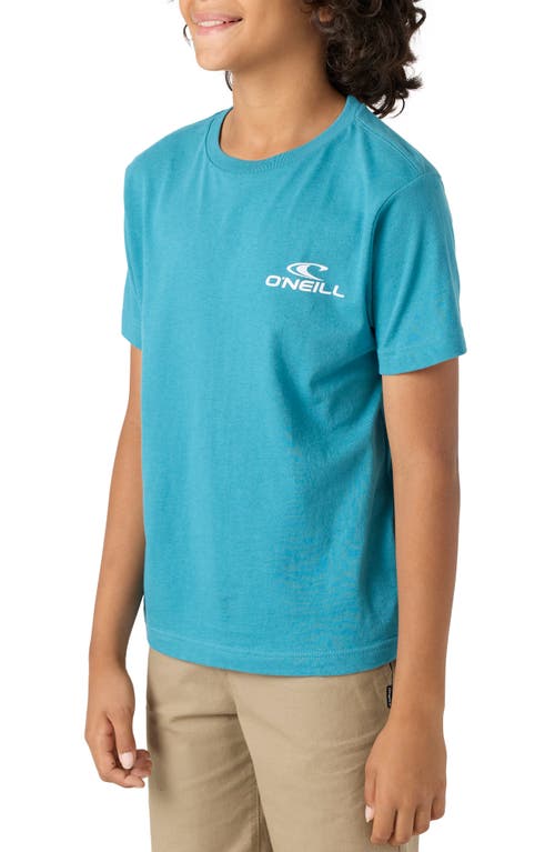 O'neill Kids' Blended Cotton Graphic T-shirt In Stormy
