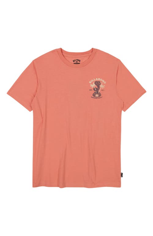 Billabong Kids' Cobra Graphic T-shirt