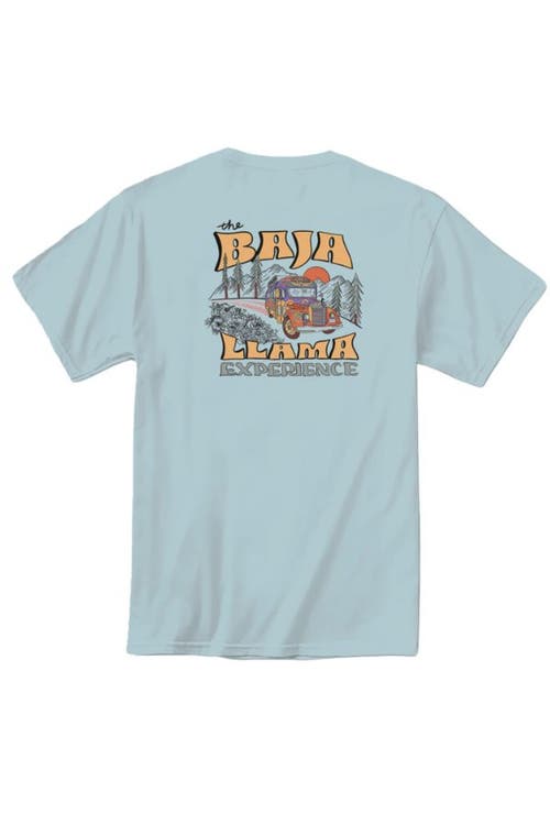Baja Llama Bus Experience In Teal