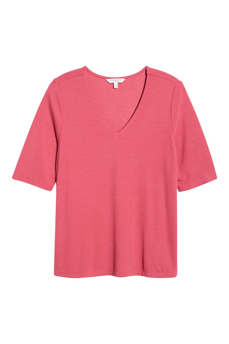 Double Layer V-Neck Top, Alternate, color, GARNET ROSE