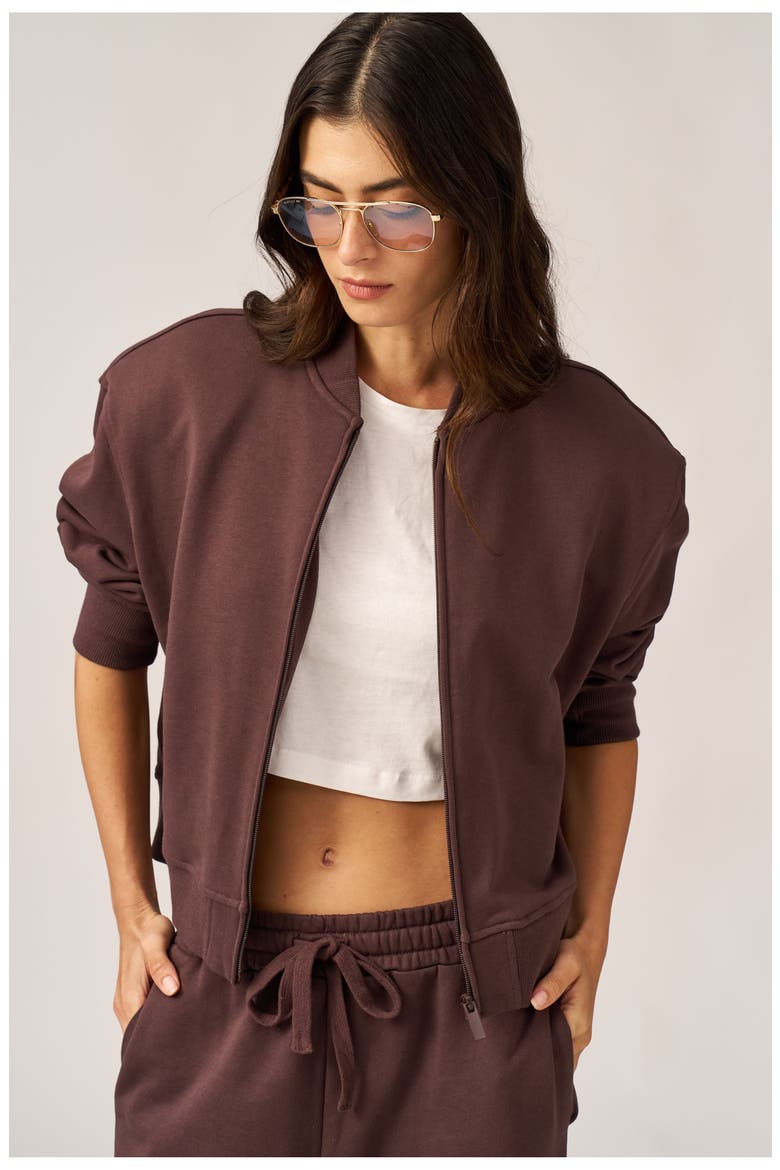 Cozy Coast Airport Bomber Sweatshirt, Alternate, color, Brown