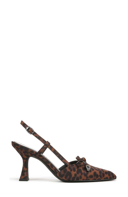 Circus Ny By Sam Edelman Monica Pointed Toe Slingback Pump In Black Natural Multi