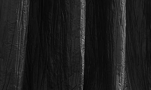 Dainty Home Single Sheer Panel Curtain In Black