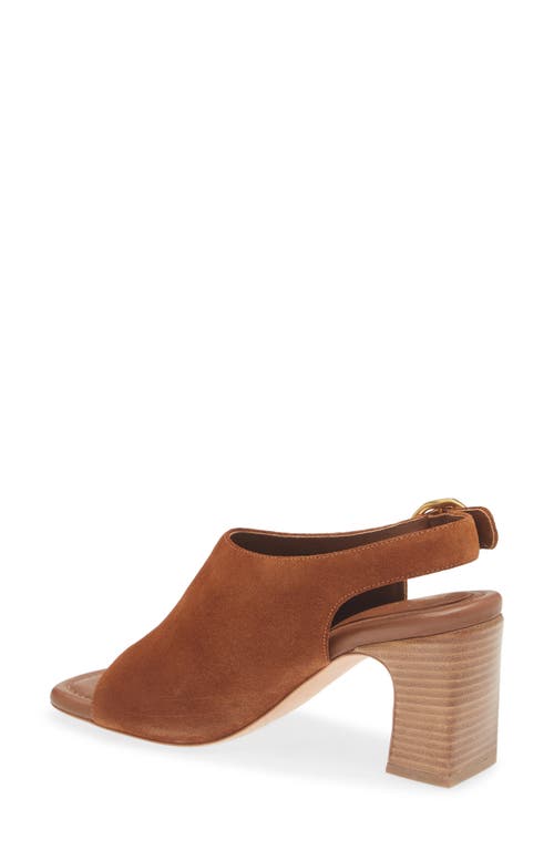 Rag & Bone Gigi Slingback Sandal In Umbersd