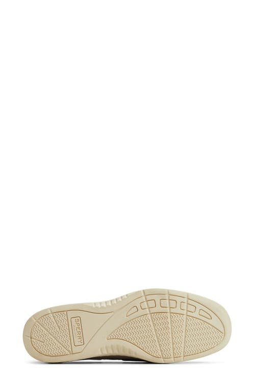 Sperry Angelfish Loafer In Multi