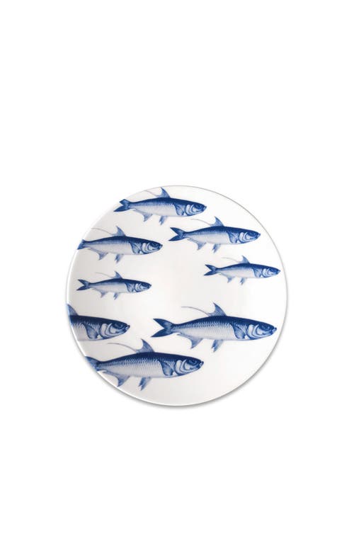 Caskata School Of Fish Blue Coupe Salad Plate In Blue