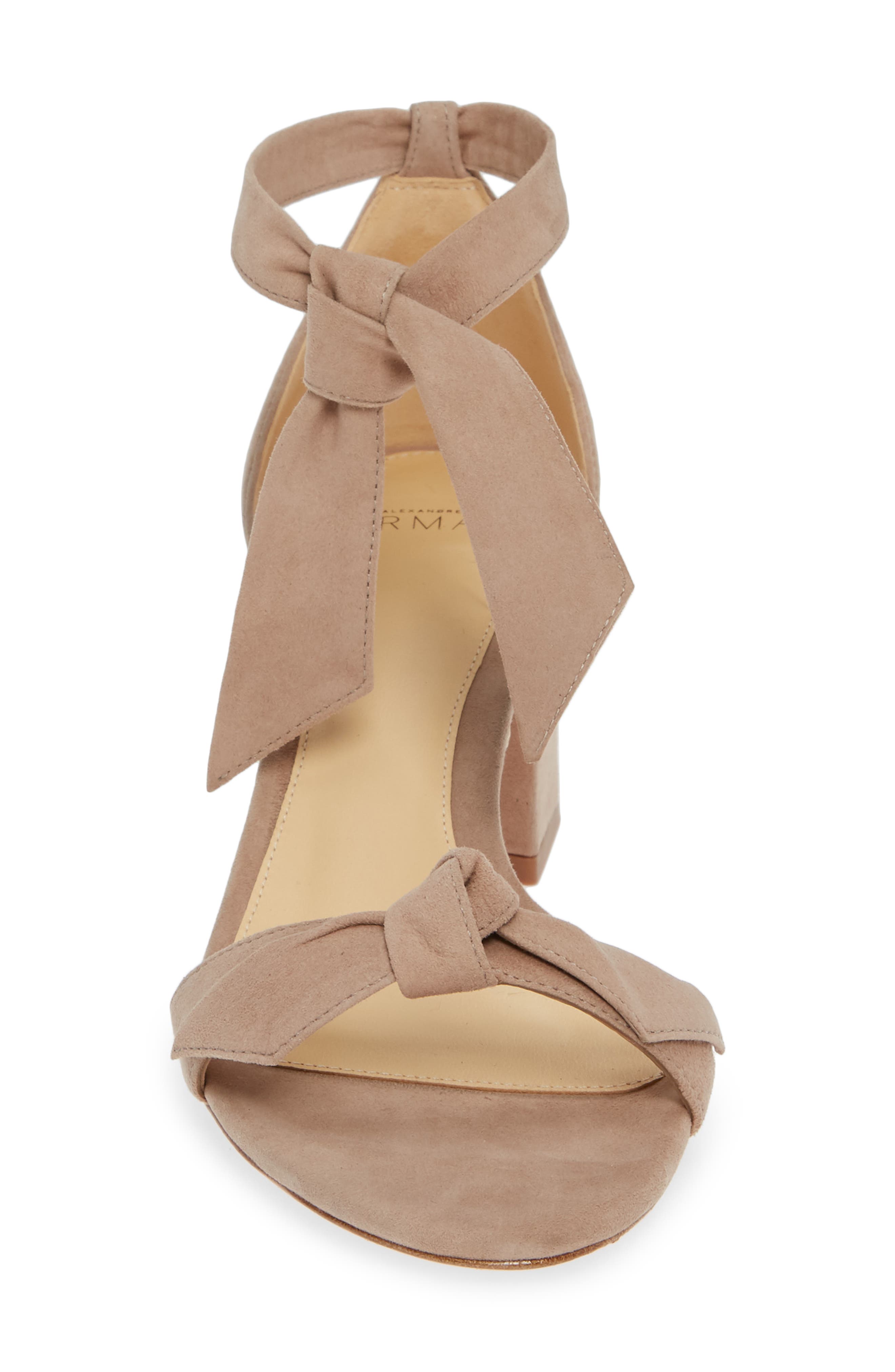Clarita Block Heel Sandal, Alternate, color, CAMEO SUEDE