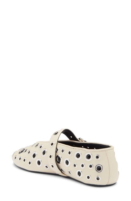 Steve Madden Ansley Ballet Flat In Bone