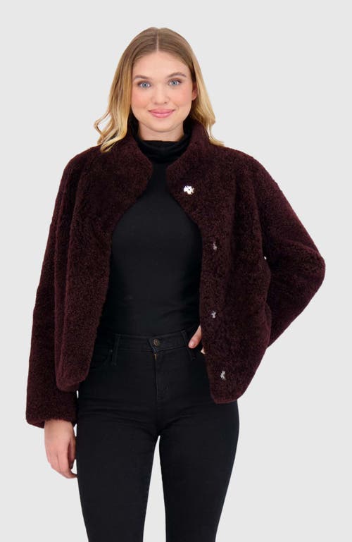 Gorski Cashmere Goat Shearling Jacket In Burgundy