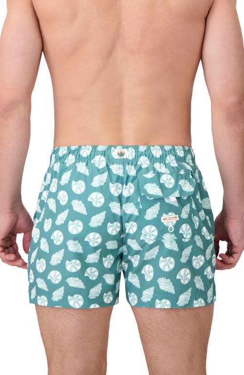 Sunset X Vine Seashell Print Swim Trunks