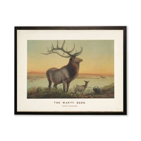 "The Wapiti Deer" Scene in Copper and Black Frame