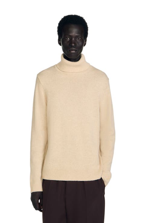 Wool and cashmere turtleneck sweater