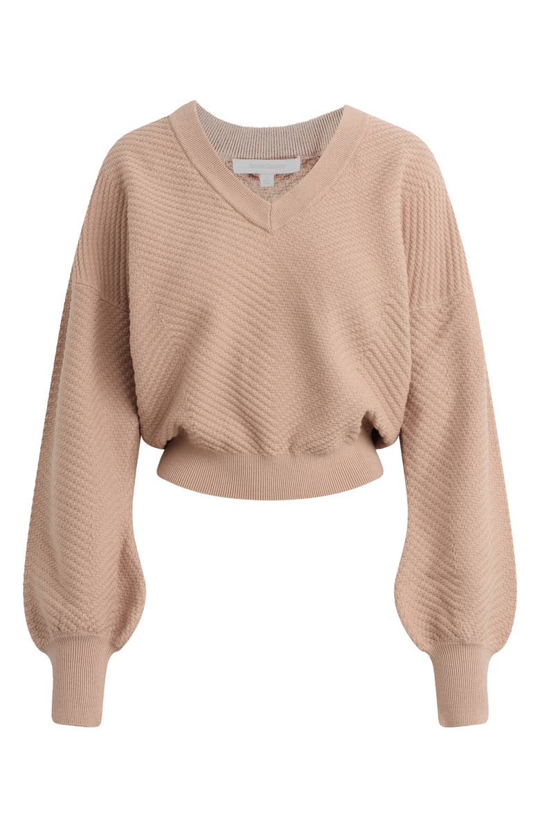Favorite Daughter The Ava Crop Sweater, Alternate, color, Mocha