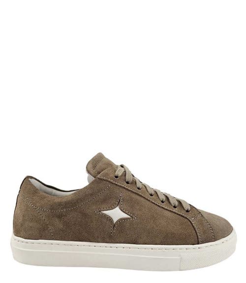 Madison Maison Sirius Star Suede Sneaker In Brown