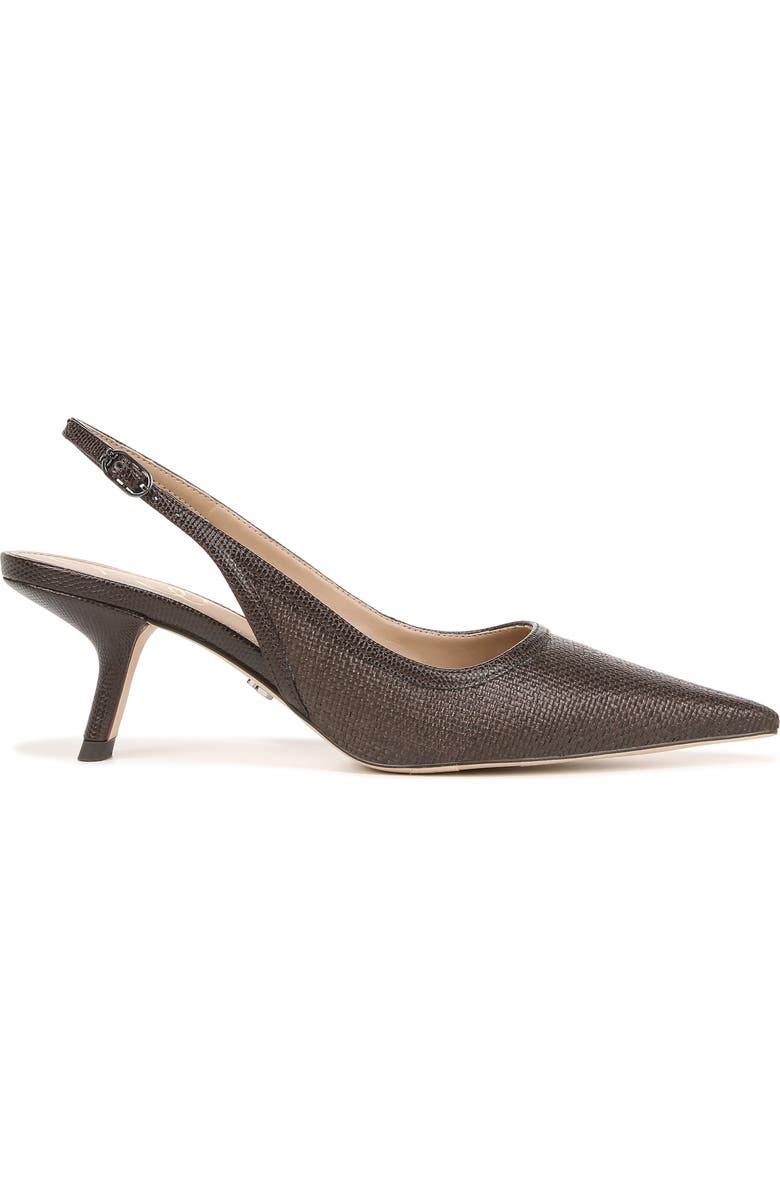 Sam Edelman Bianka Pointed Toe Slingback Pump, Alternate, color,