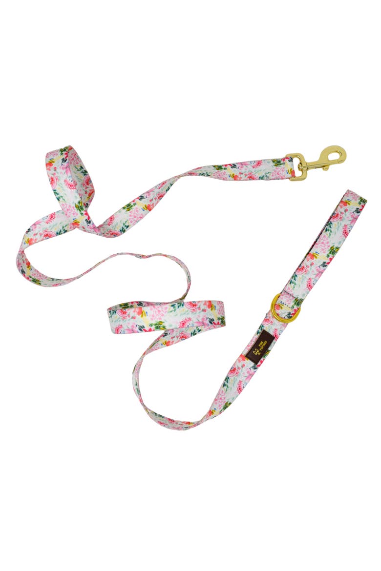 Isabella Dog Leash, Main, color, Isabella 4ft