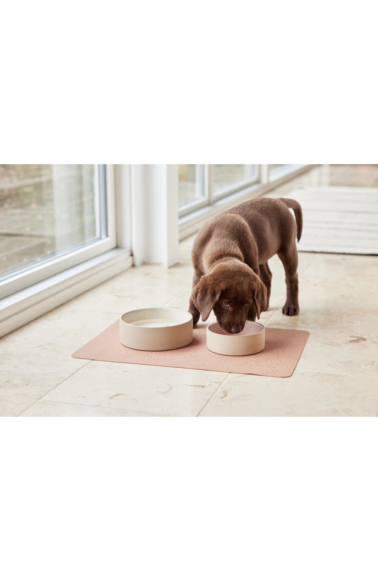 OYOY Sia Dog Bowl, Alternate, color, Ice Blue