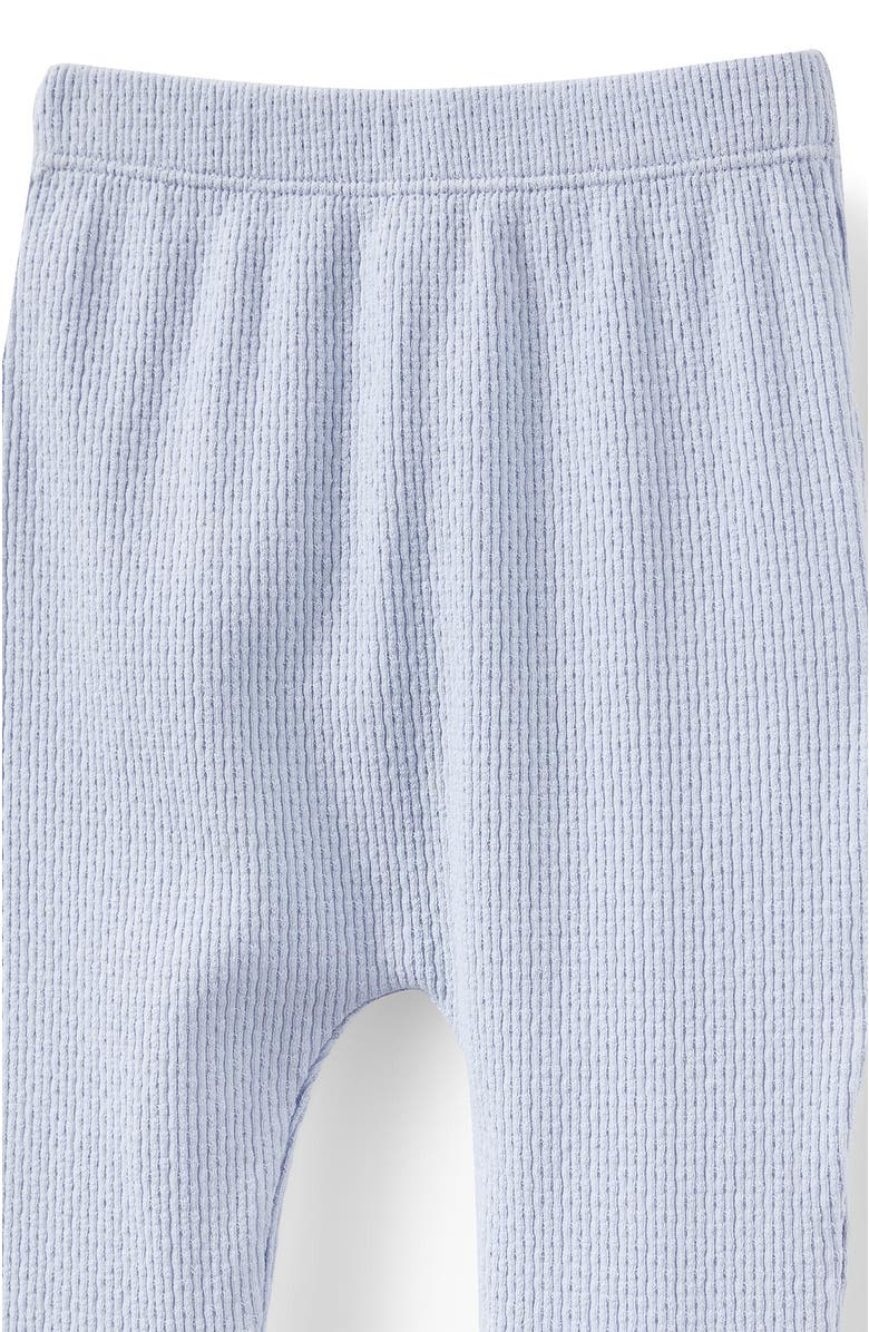 Cotton On Kids Organic Pointelle Legging, Alternate, color, Periwinkle