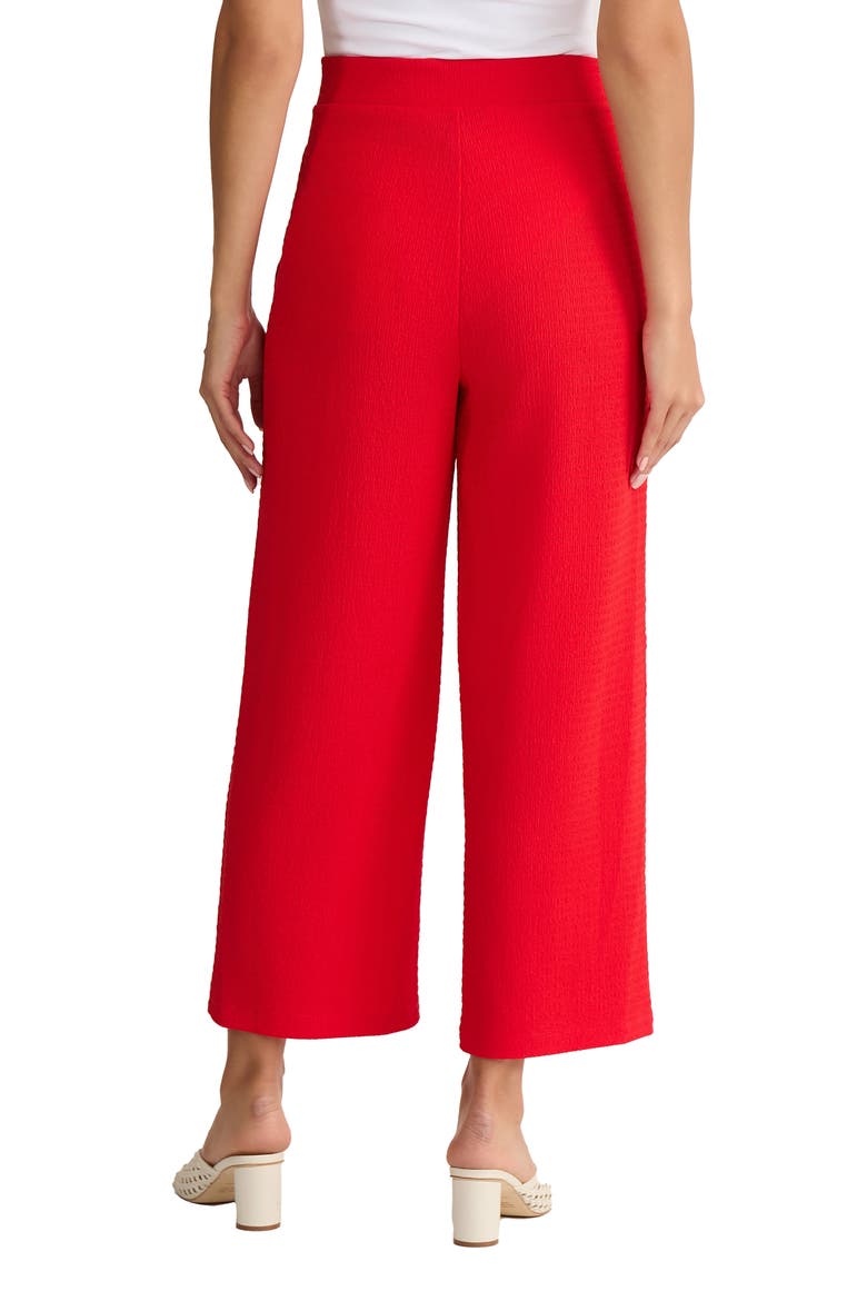 Texture Crop Pants, Alternate, color, ROUGE