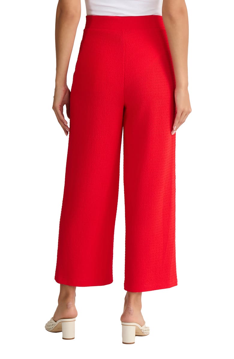 Jones New York Texture Crop Pants, Alternate, color, Rouge