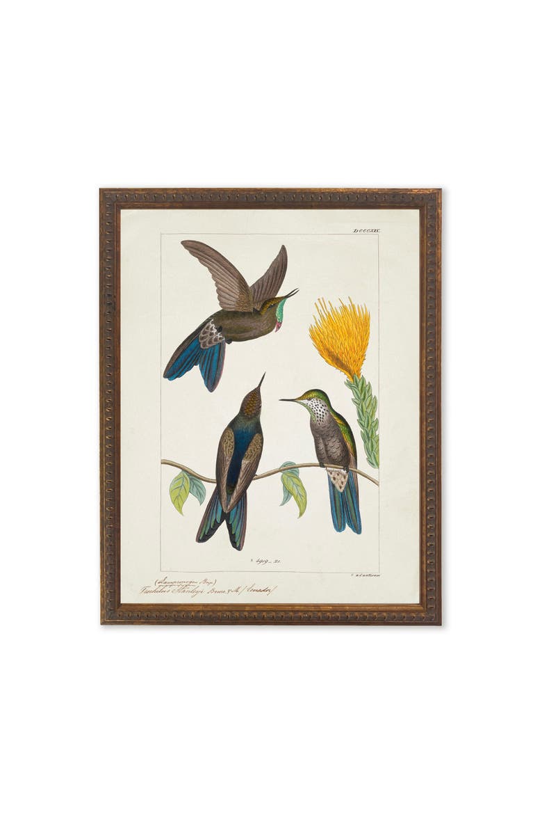 Hummingbirds Around Yellow Flower in Bronze-Beaded Frame, Main, color, Multi