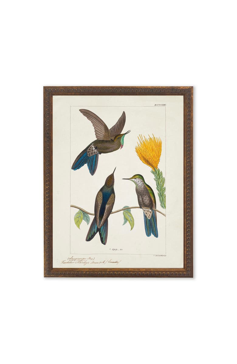 Antique Curiosities Hummingbirds Around Yellow Flower in Bronze-Beaded Frame, Main, color, Multi
