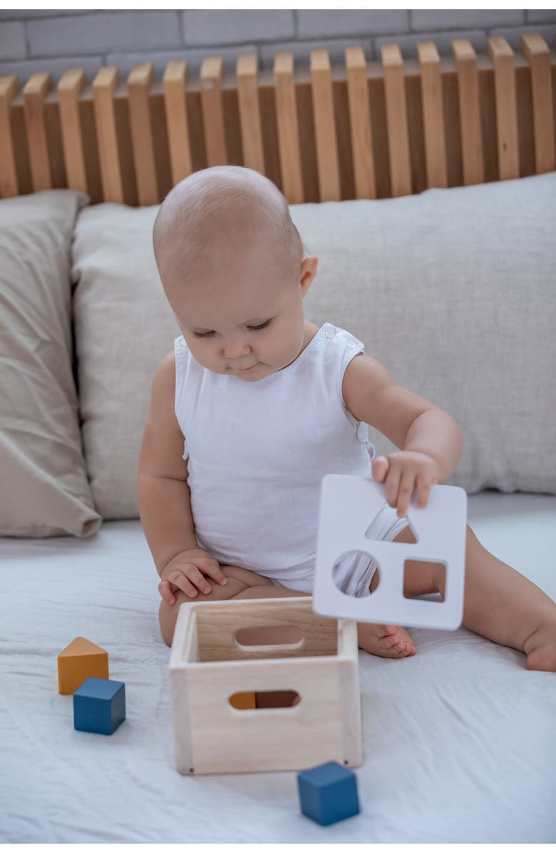 PlanToys<sup>®</sup> Shape & Sort It Out Toy, Alternate, color, 