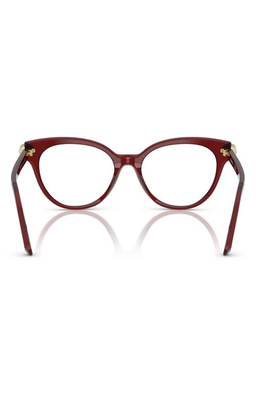 Swarovski 53mm Phantos Optical Glasses In Brown
