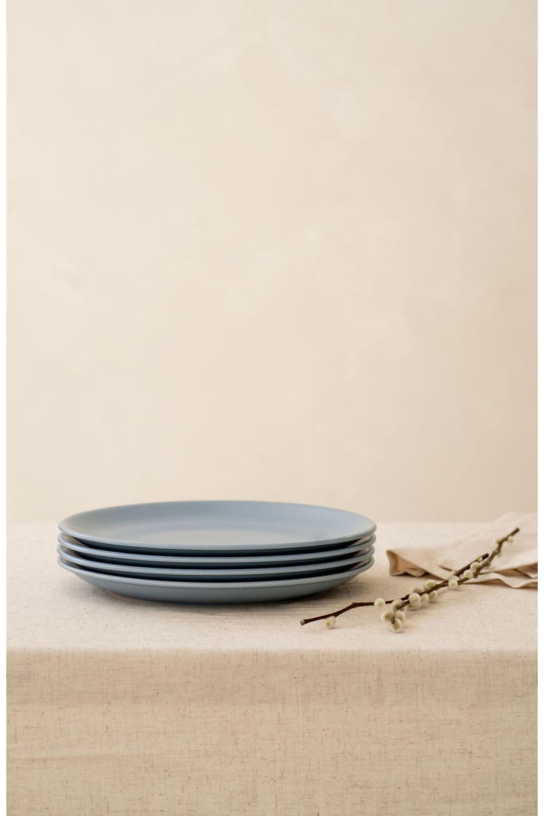 The Grande Plate - Set of 4, Main, color, Wave
