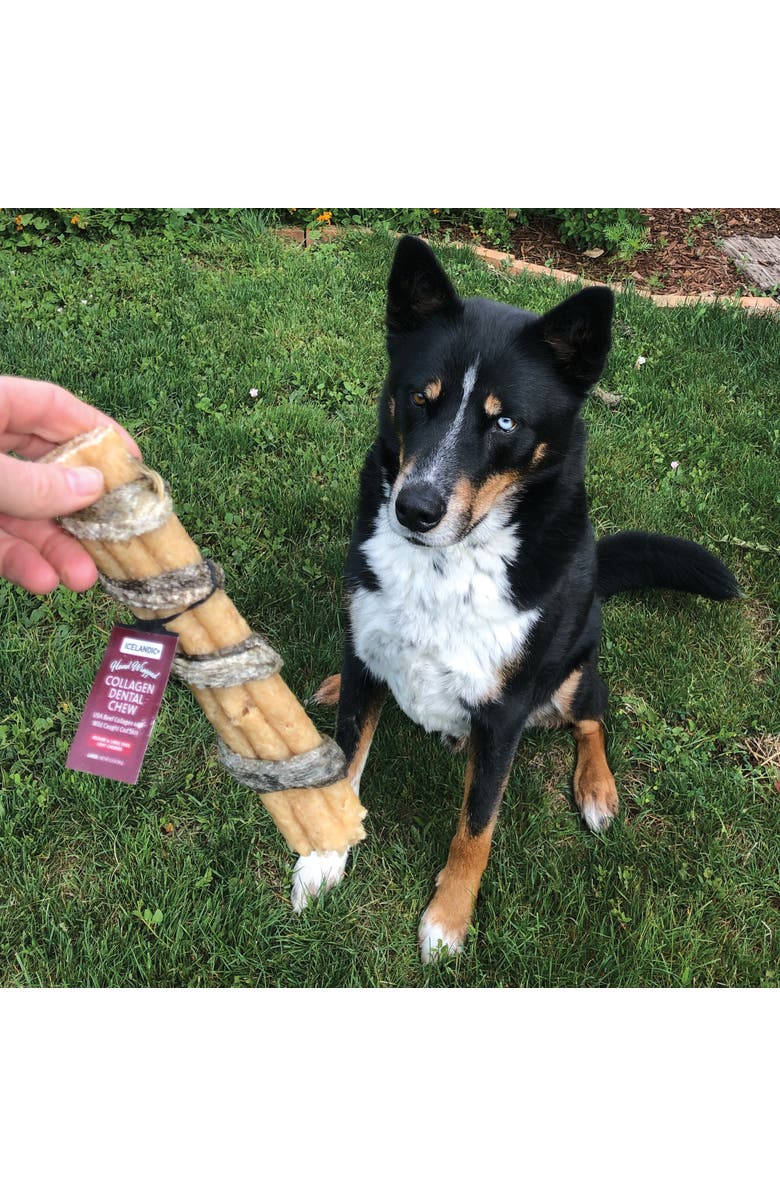 ICELANDIC+ Beef Collagen Dental Chew Stick Wrapped with Fish 8" Dog Treat, Alternate, color, Brown