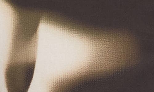 Ted Baker Wrenin Photographic Floral Print Button-up Shirt In Brown