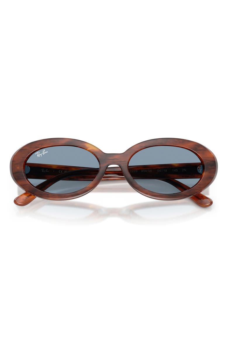 Ray-Ban 54mm Oval Sunglasses, Alternate, color, Striped Havana / Blue