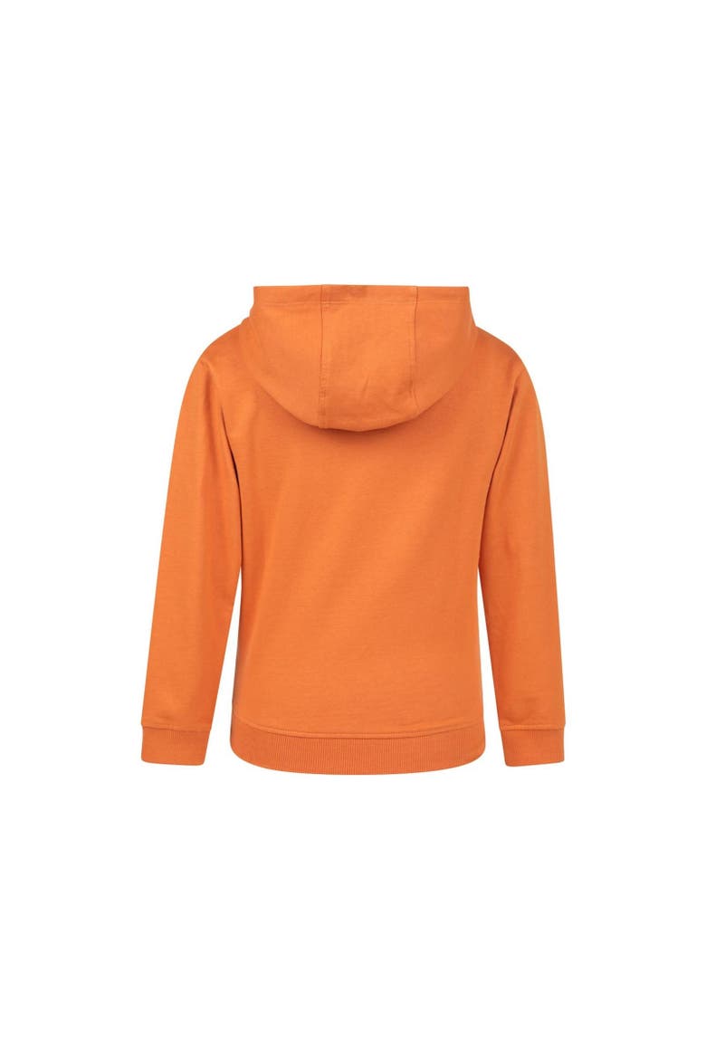Childrens/Kids Explore Graphic Hoodie, Alternate, color, Orange