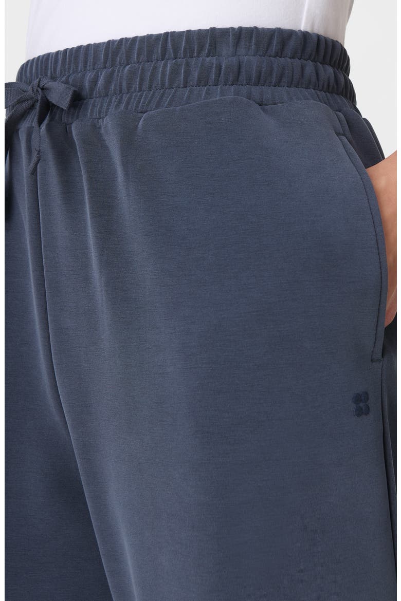 Sand Wash Joggers, Alternate, color, FRENCH NAVY