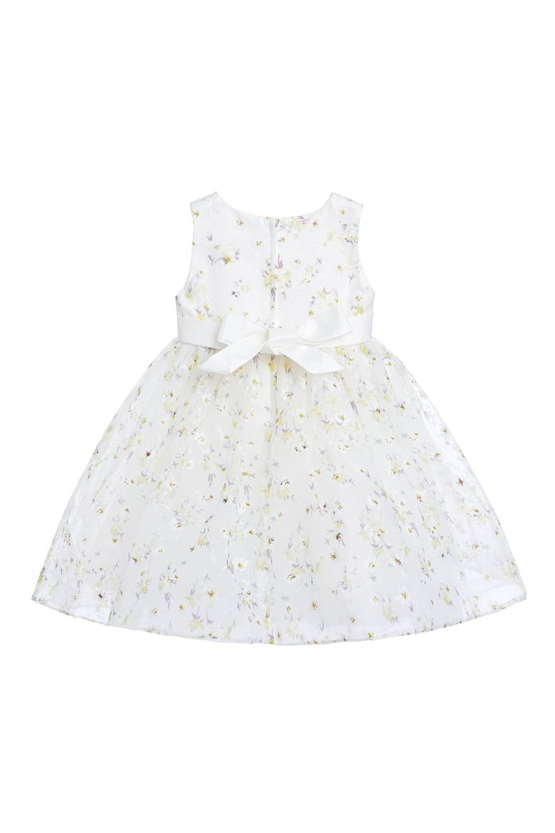 Floral Patterned Bow Dress, Alternate, color, Ivory