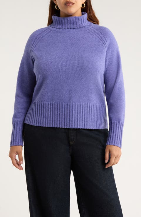 Basset Cove Merino Wool Blend Turtleneck Sweater (Plus)