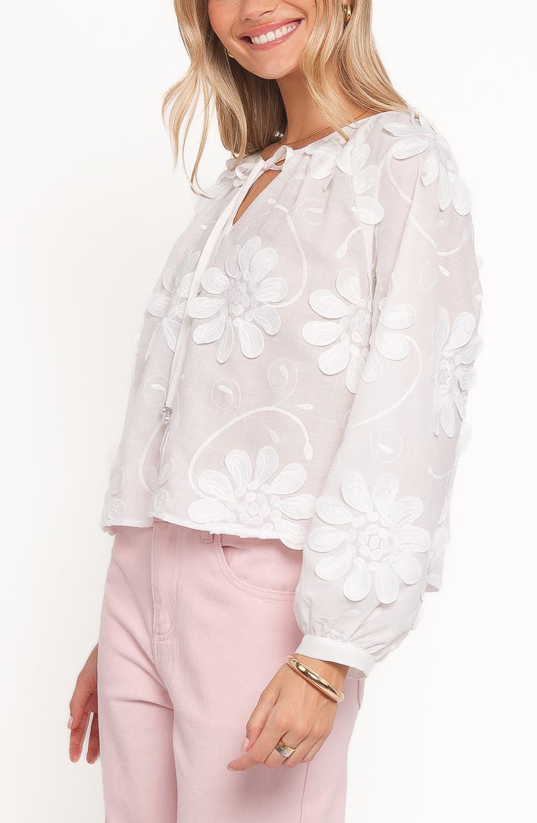 Petal & Pup Leire Embroidered Top, Alternate, color, 