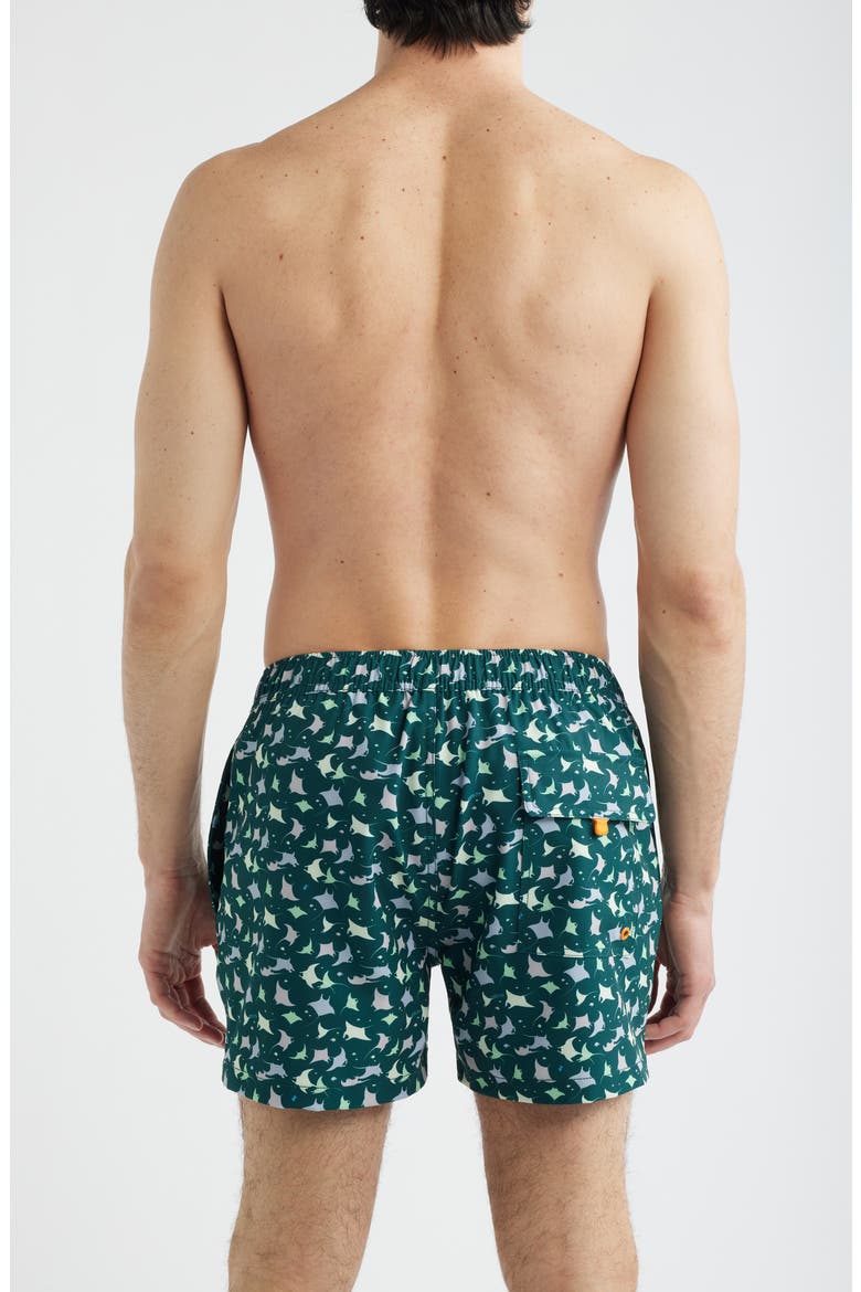 Ademir Swim Trunks, Alternate, color, MANTE - ANIMAL FREE