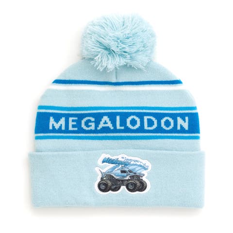 Knit Beanie Hat