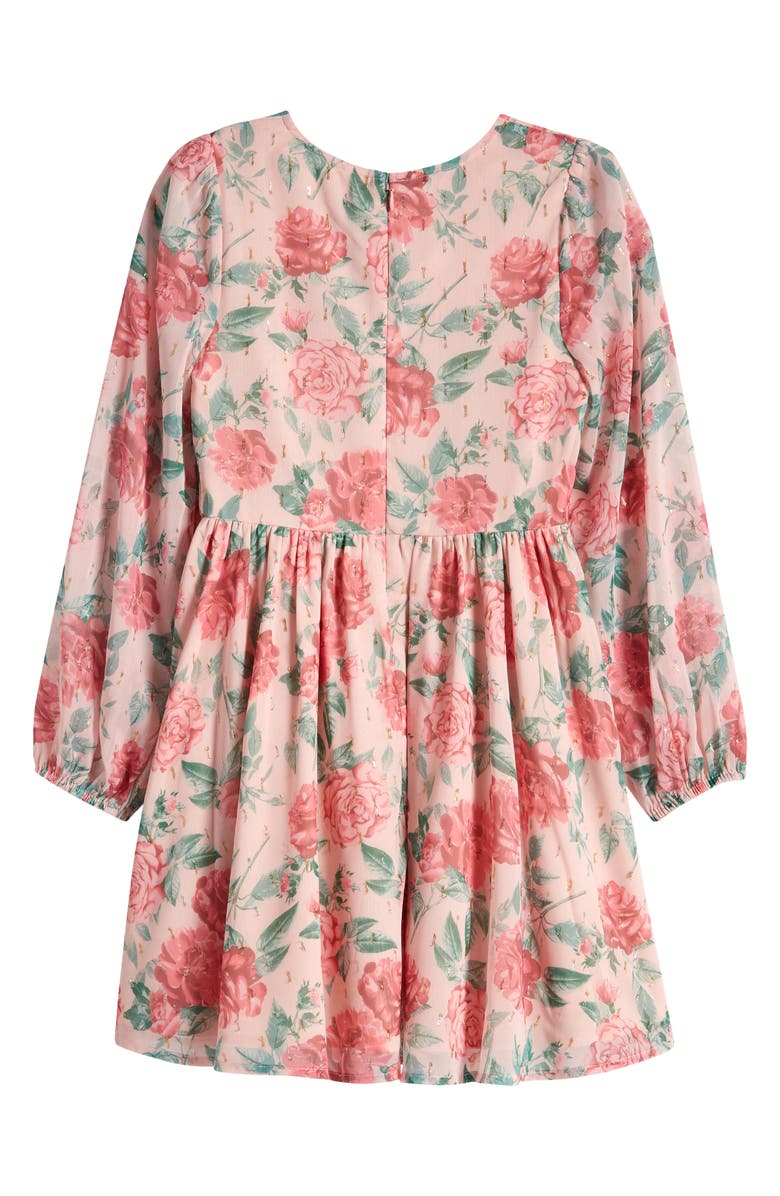 Nordstrom Kids' Floral Long Sleeve Party Dress, Alternate, color,