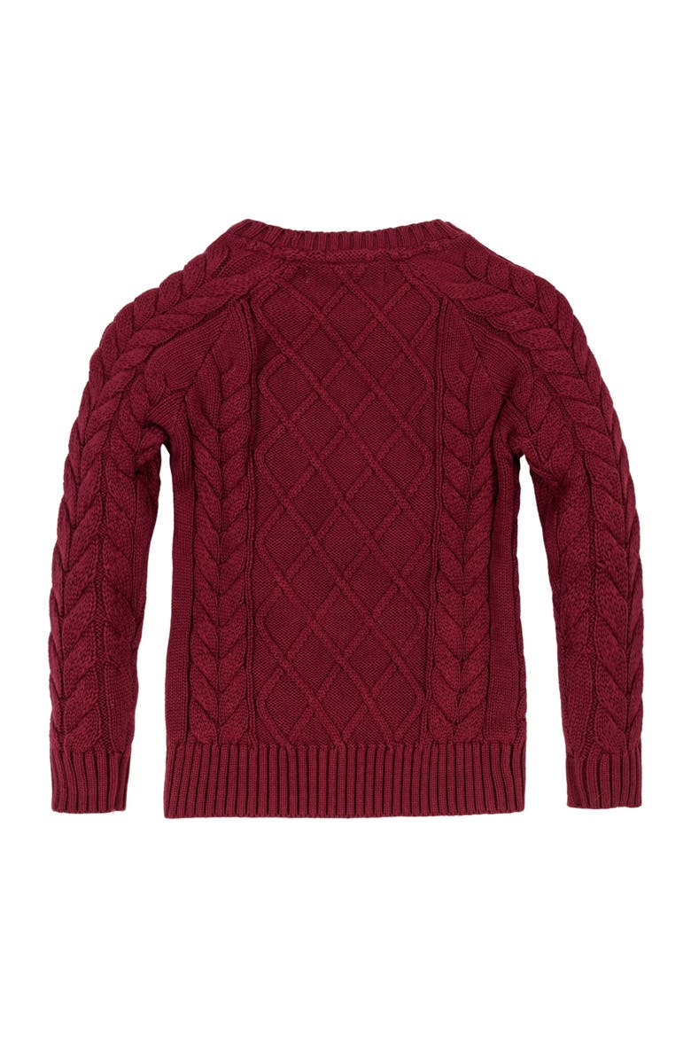 Baby Boys' Organic Raglan Fisherman Sweater, Infant, Alternate, color, Oxblood Fisherman