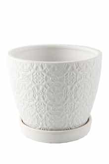 FLORA BUNDA Matte White 5.75-Inch Cathedral Ceramic Saucer Planter