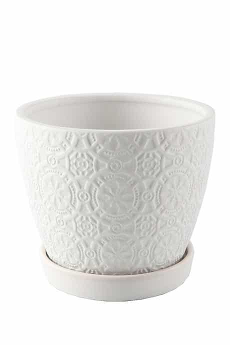 FLORA BUNDA Matte White 5.75-Inch Cathedral Ceramic Saucer Planter