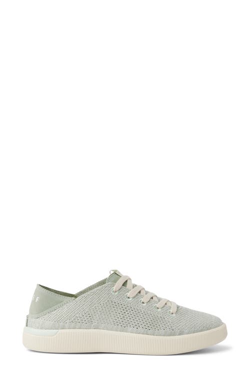 Reef Neptune Knit Sneaker In Green