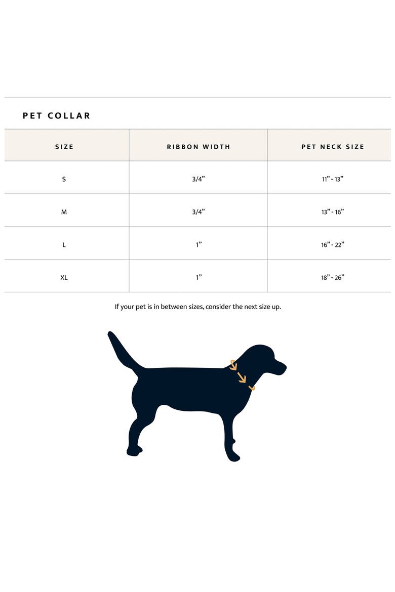 Adventure Collar, Alternate, color, FALCON COVE