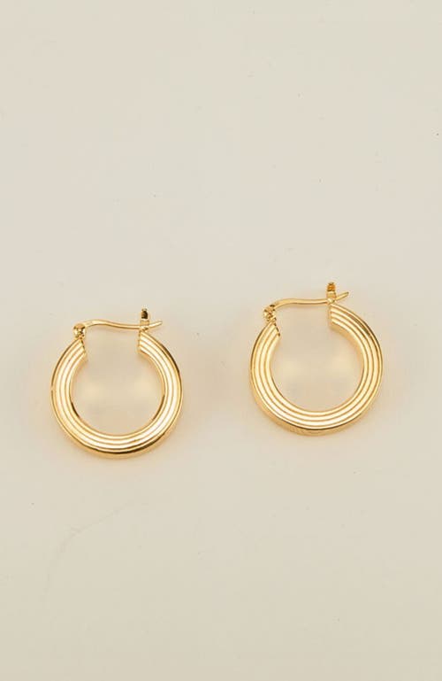 Gwen Beloti Lina Boxy Round Hoop Earring In Gold