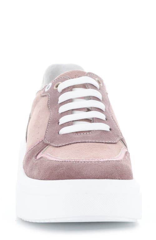 Bos. & Co. Fulton Colorblock Platform Sneaker In Old Rose Suede